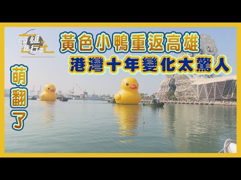 萌翻了 黃色小鴨重返高雄 港灣十年變化太驚人 ◆高雄進行式