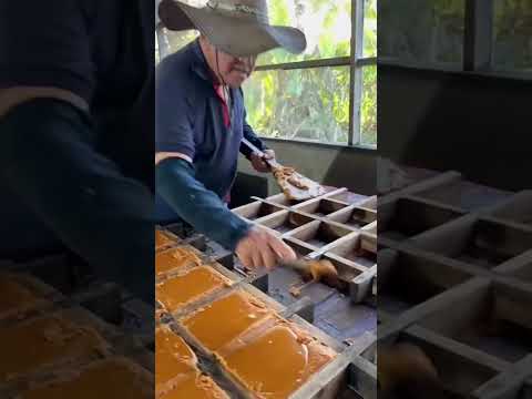 Así se produce la panela en San José del Fragua