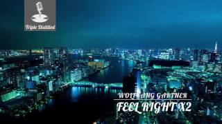 Wolfgang Gartner - Feel Right (feat. J hart)[Bass Boosted/HQ/Triple Distilled]