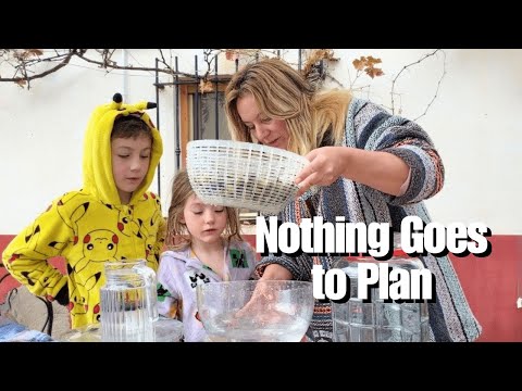 Jarring Olives, Bottling Our First Oil & a Chimney Scare | Cortijo Renacer Life