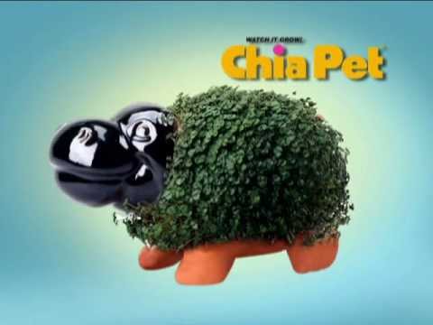 Chia Pet - The pottery that grows! 2012 TV Spot