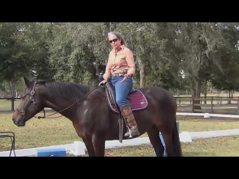 Beginner Riders Most Common Mistakes, Part IV