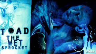 Toad The Wet Sprocket - Desire, 1997 Coil