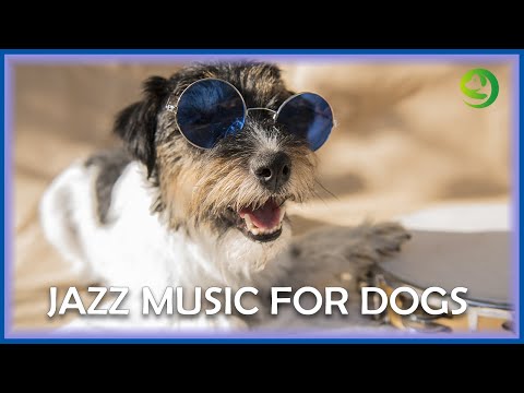 Jazz Music For DOGS! Relaxing Dog Music to Calm Anxiety
