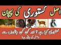Kastori || Original Kasturi in Pakistan || کستوری || All About Deer Musk