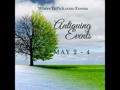Thumbnail for May 2-4, 2025: Popular antiquing events for the weekend by May 2
