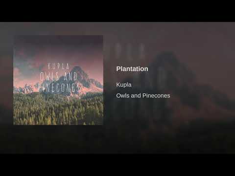 Video thumbnail for Plantation