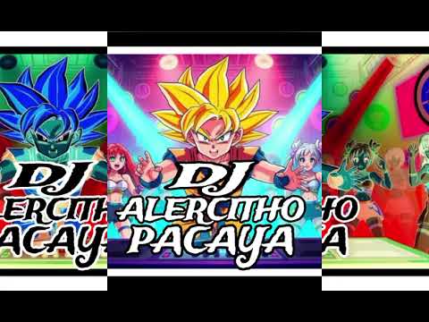 Megamix variados- ReTropical : Solo Perdiste Tu Lugar - Solo Muy Solo -DJ  ALERCITHO PACAYA 2k25