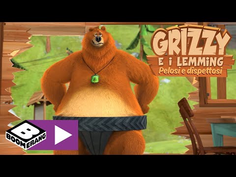 Lottatori di sumo | Grizzy e i Lemming | Boomerang Italia