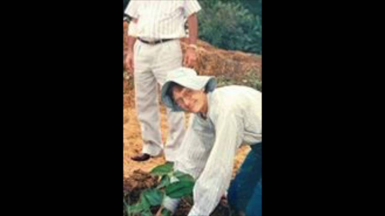 Conversa com Ana Primavesi - 4