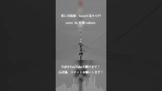 愛に奇術師 / koyori(電ポルP) feat.柘榴 #歌ってみた #cover #shorts