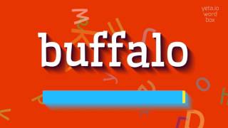 How to say "buffalo"! (High Quality Voices)