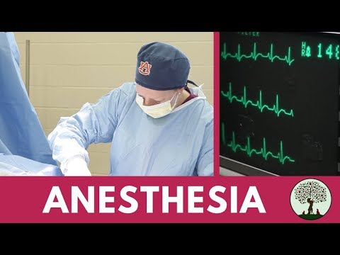 Our Standard of Care - Anesthesia
