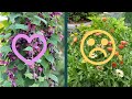 Plants I Grew What Worked What Didn T