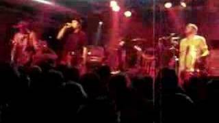 Mad Caddies Hound Bound