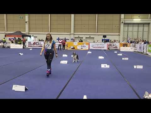 FCI Rally Obedience World Championship 2025 in Austria- 99,5 points