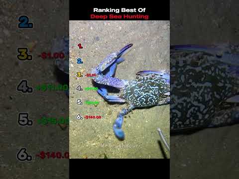Ranking Best Deep Sea Hunting