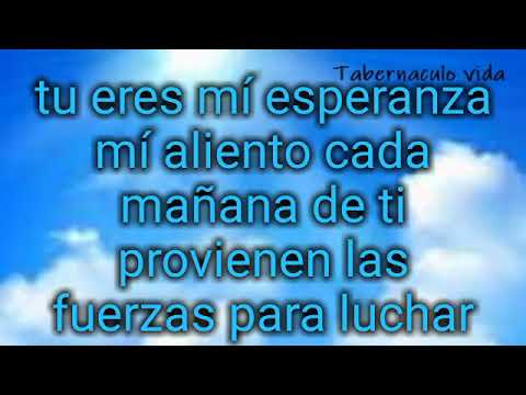 Que conocerte fue simplemente lo mejor (letra)