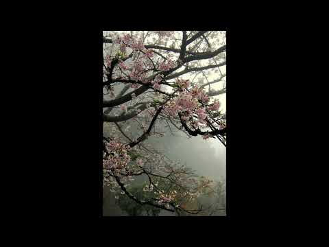 [FREE] irko + realo type beat - "pause" (p. 6min)