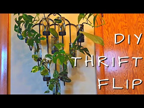 DIY Thrift Flip *plant edition* | Propagation Station