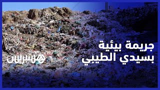 النفايات و"طير البقر" يحولان حياة ساكنة بسيدي الطيبي إلى جحيم thumbnail