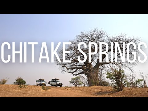 Chitake Springs | Zimbabwe's Hidden Gem
