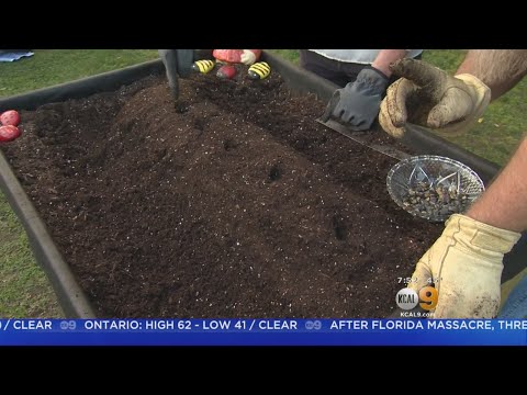 In The Garden (Feb. 24)