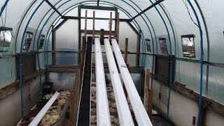 How Do I Grow Long Roots For The Malvern Autumn Show 2026