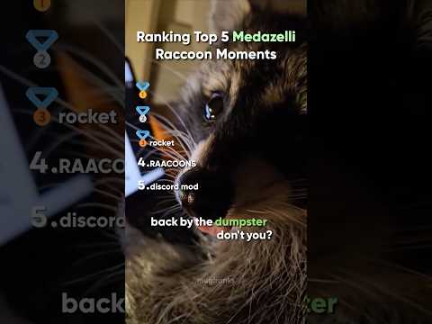Top 5 Medazelli Raccoon Moments (#1 Was Wild)