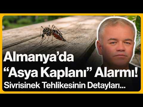 "Asian Tiger" Alert in Germany! Details on the Mosquito Threat... | May 29, 2026