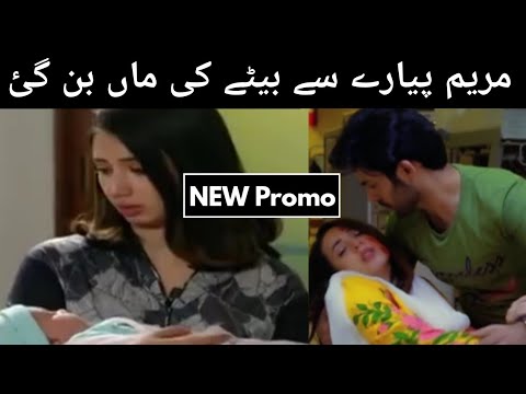 Bharosa Pyar Tera Ep 57 New Promo || Bharosa Pyar Tera New Promo  || Top Pakistani Dramas