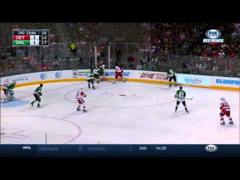 21.02.2015 Detroit Red Wings vs. Dallas Stars