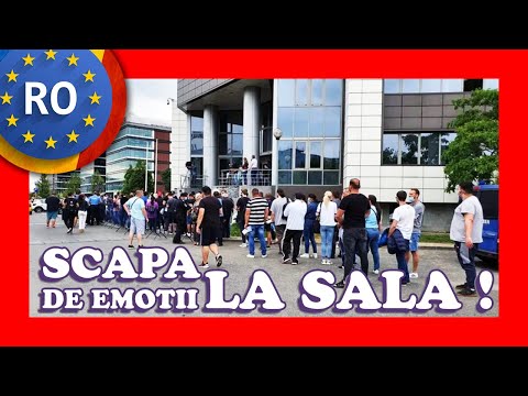 CHESTIONARE AUTO CATEGORIA B EXPLICATE 2025