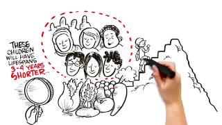 HANDS UP   Part 3   Applying Physical & Health Literacy