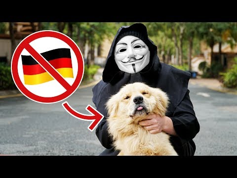 UNSER HUND LUCKY KANN WEGEN GAME MASTER NICHT ZURÜCK !!! | WASWIR
