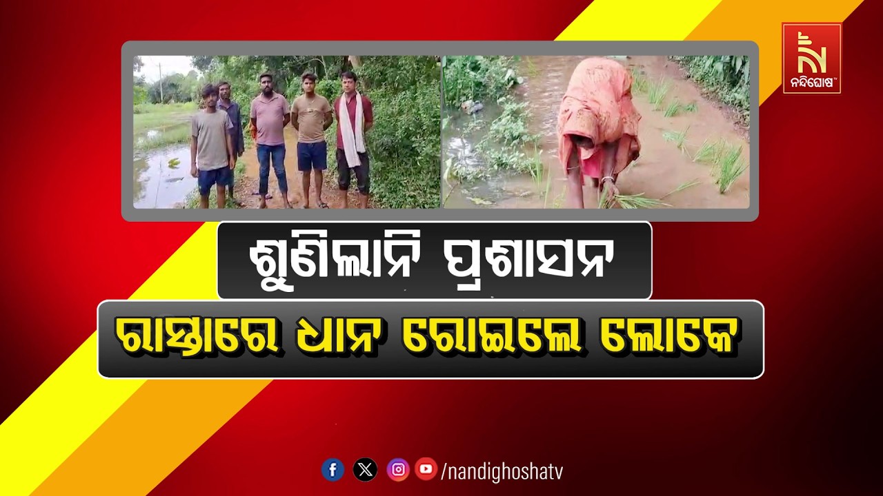 🔴Live | ଶୁଣିଲାନି ପ୍ରଶାସନ : ରାସ୍ତାରେ ଧାନ ରୋଇଲେ ଲୋକେ