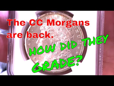 Inherited Morgans are back from Grading.  How did we do?