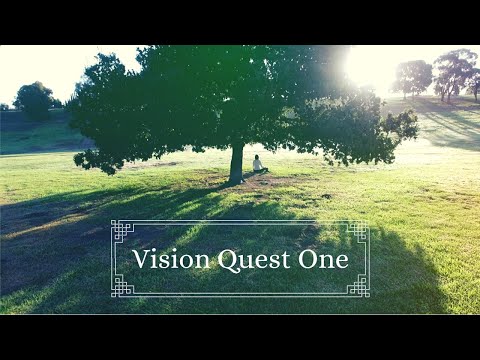Vision Quest One