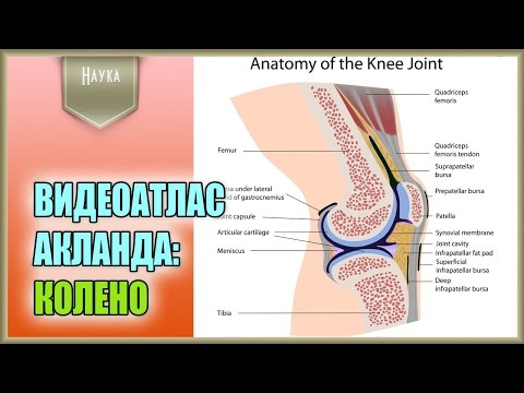 Можно ли при шейном остеохондрозе работать физически Дифференциальная диагностика остеохондроза позвоночника
