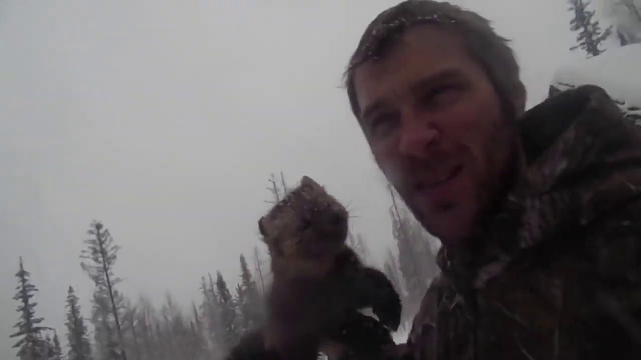 Как я добыл лося - О чем я не рассказывал. Жизнь и промысел в дикой тайге