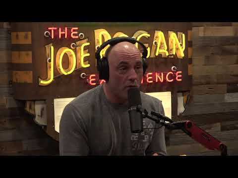 Joe Rogan Experience #1779 - Michael Osterholm
