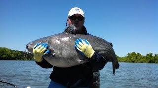 Big Catfish with Capt. Jason Bridges