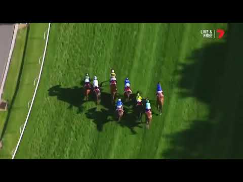 2017 Cox Plate - Winx