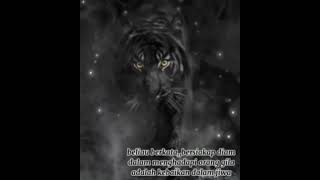 Download lagu Story Wa macan putih#sabar mp3