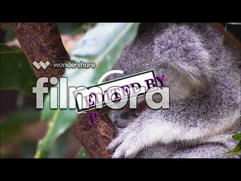 Learn Video Editing in Just 20 Minutes | Video Editing for Beginner