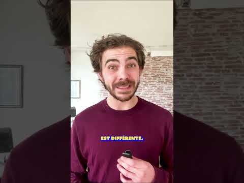 La vie de famille des lions 🦁 ! Partie 2 : L’apprentissage