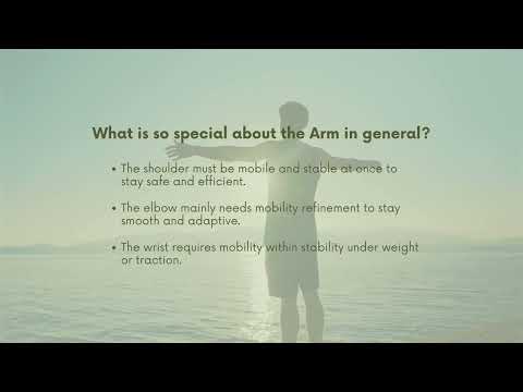 Shoulder/Arm 101: Mobility · Stability · Pattern (Short Guide)