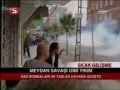 STV Haberi