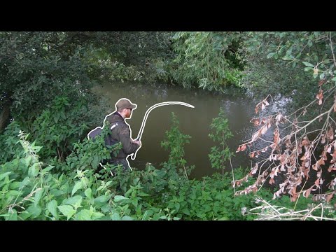 THIS Is Why You Fish Flooded Rivers! BIG FISH! BFS