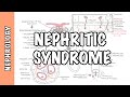 View 14 Nephritis Pathophysiology Ppt